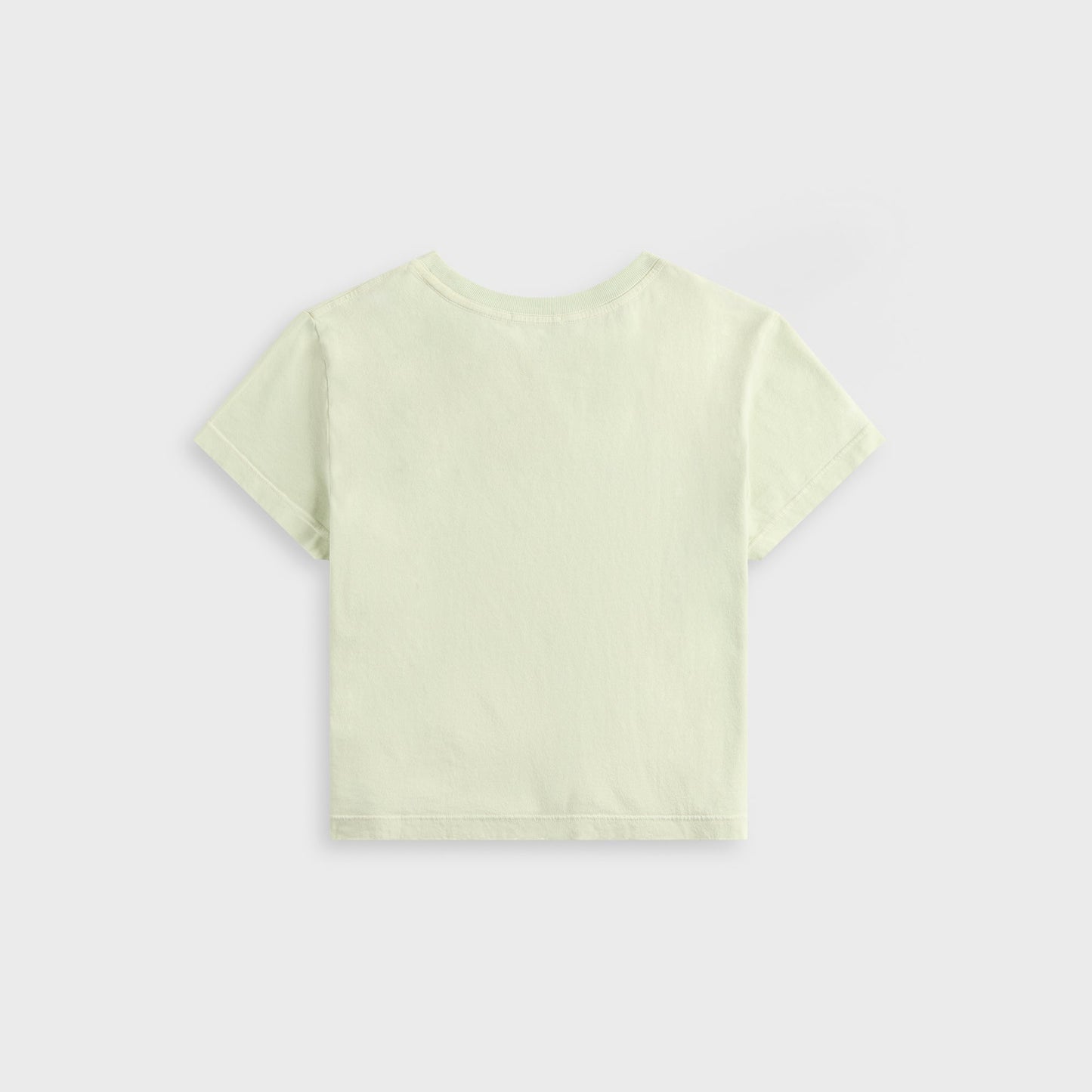 Agolde Adine Shrunken Tee - Mint Cream